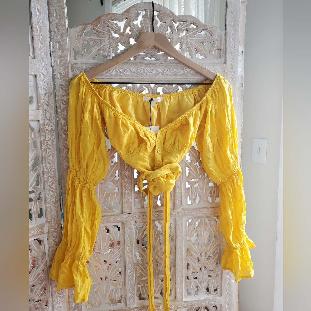 NWT Étophe Studios Canary Cropped Top